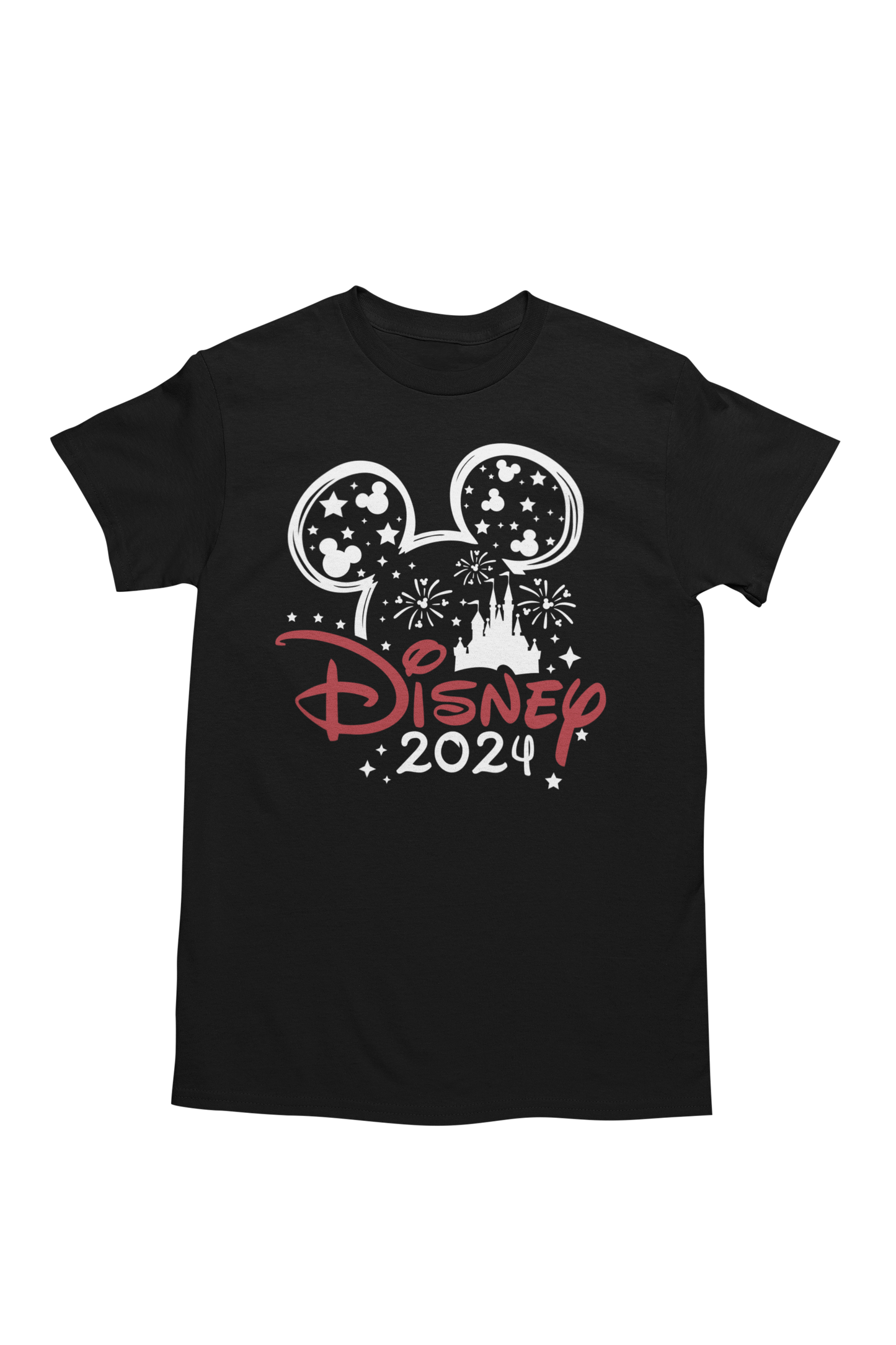 Mickey Or Minnie Fireworks Disney 2024