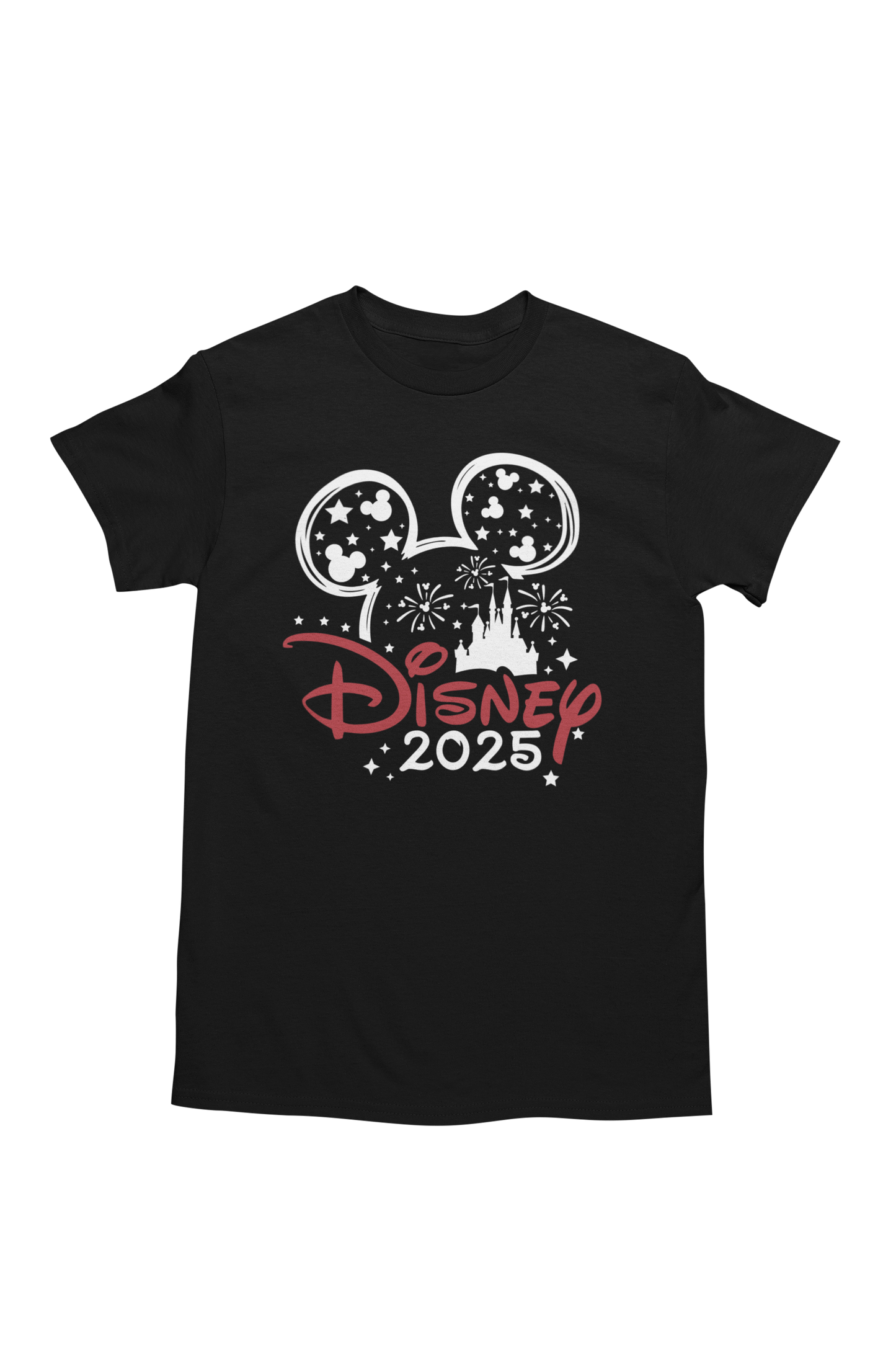 Mickey Or Minnie Fireworks Disney 2025