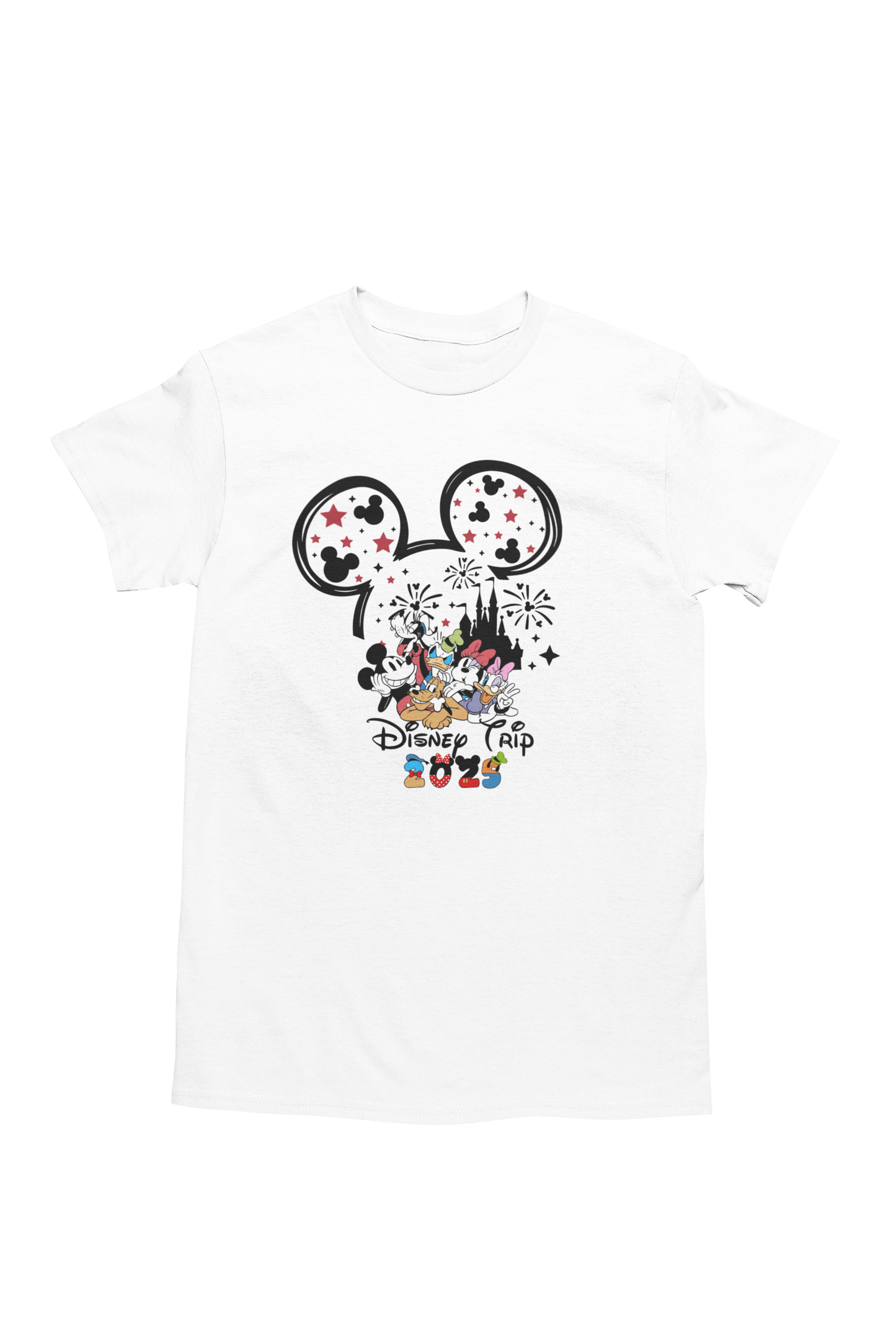 Mickey & Minnie Fireworks Disney Trip 2025